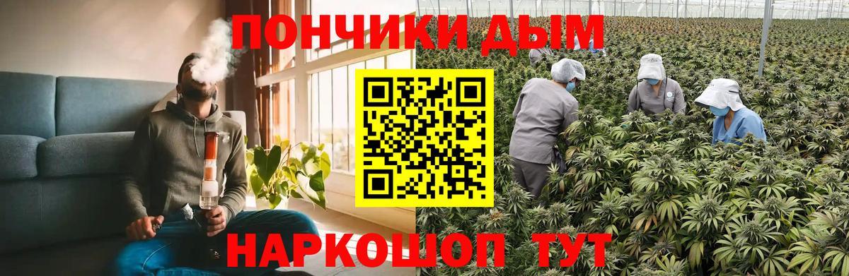 Бошки Шишки LSD WEED  Вход с VPN  Бошки марихуана марихуана  Нефтекумск  Конопля LSD WEED  Конопля ГИДРОПОН 